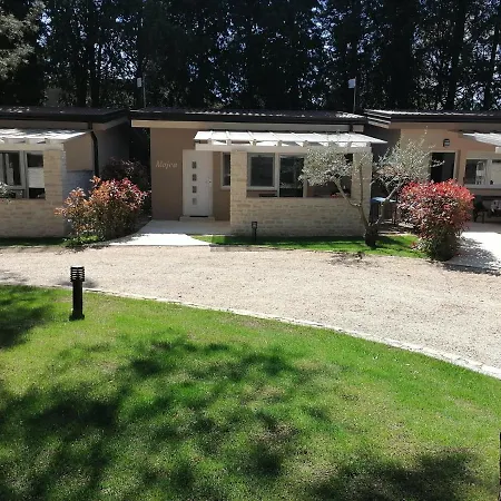 Mimoza 3* Bašanija