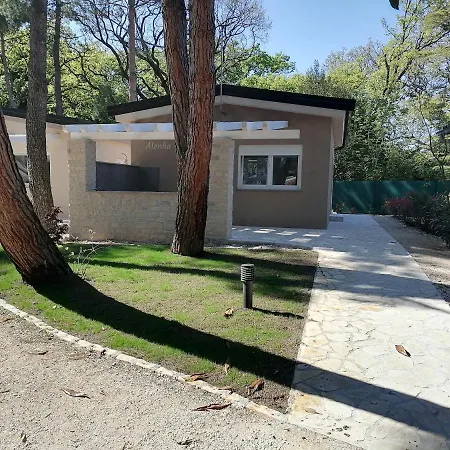 Mimoza 3* Bašanija