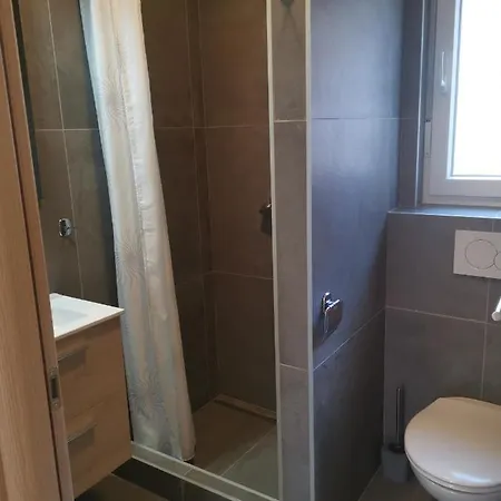 Mimoza 3* Bašanija