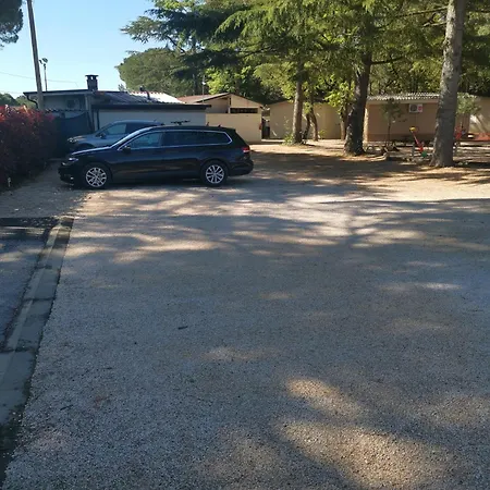 Mimoza 3* Bašanija