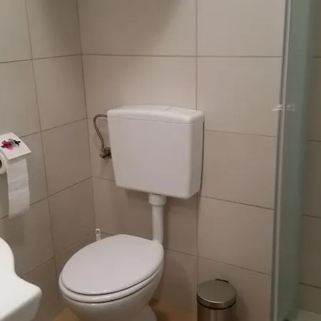 Mimoza 3*