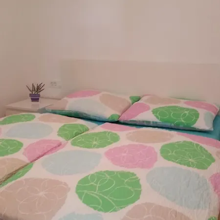 Mimoza 3*
