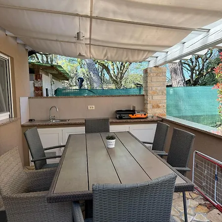 Mimoza 3*