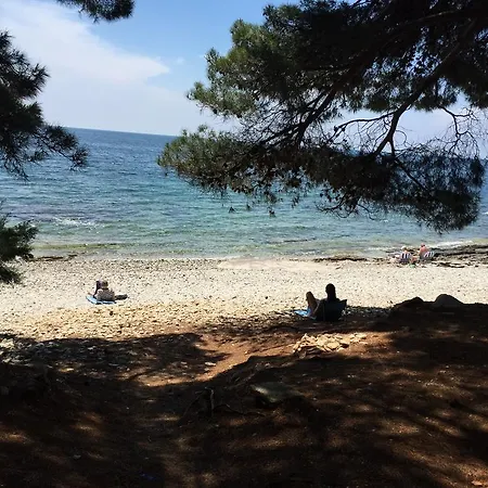 Tatil parkı Mimoza 3*