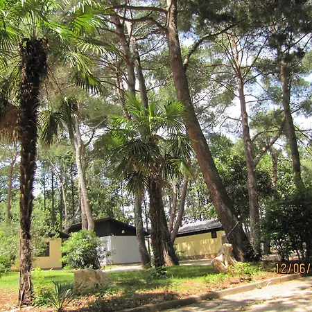 Tatil parkı Mimoza