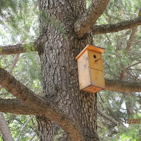 Tatil parkı Mimoza Bašanija