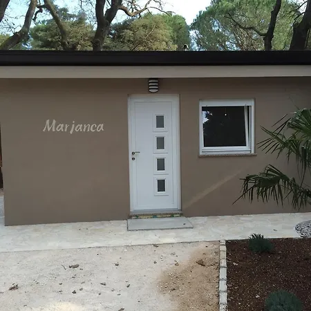 Mimoza 3* Bašanija