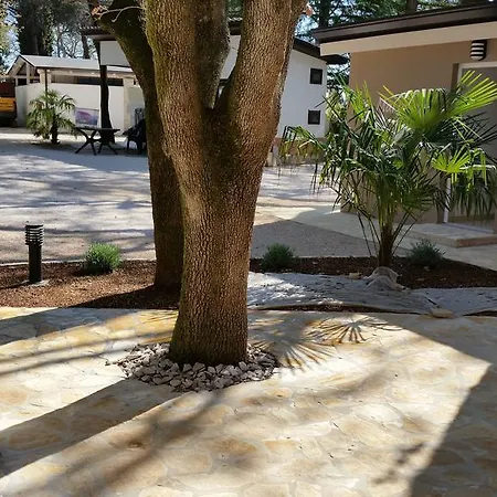 Tatil parkı Mimoza