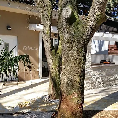 Mimoza Holiday park Basanija