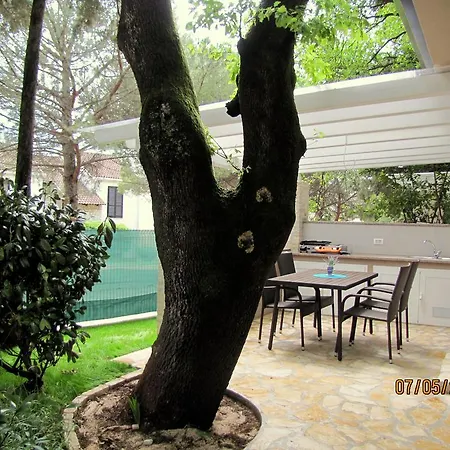 Mimoza 3*