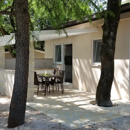 Mimoza 3* Bašanija