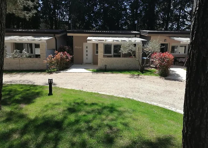 Mimoza 3* Bašanija