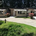Mimoza 3* Bašanija