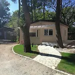 Mimoza ホリデーパーク Bašanija