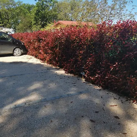 Mimoza Πάρκο διακοπών 3*