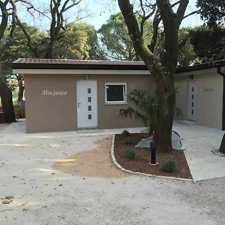 Mimoza 3*